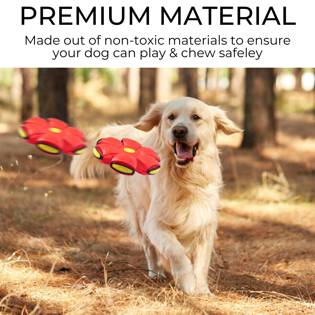 Pro-Flat Ball Frisbee