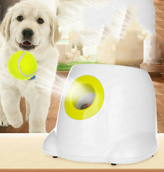 Go-Fetch Launcher