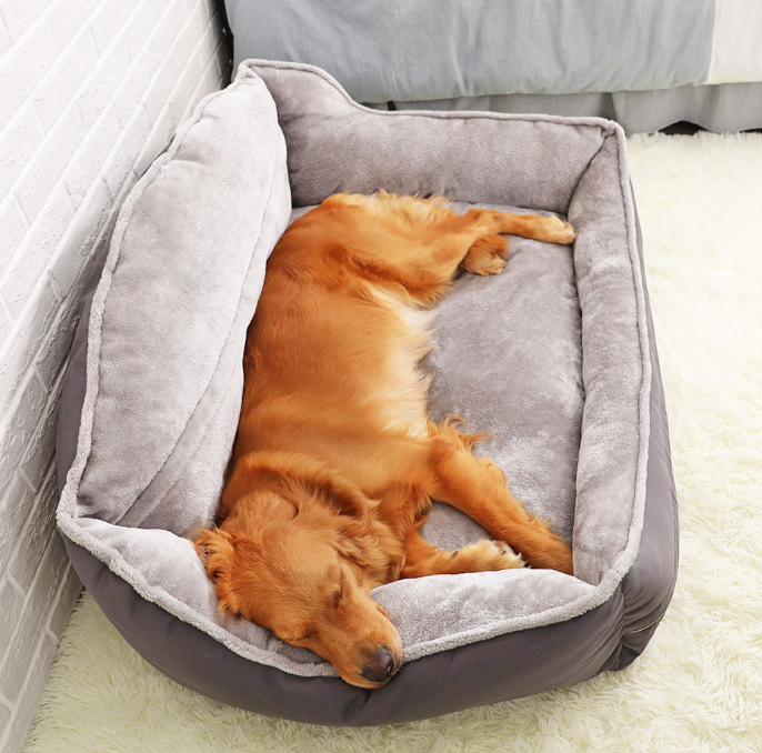 Memory Foam Dog Bed