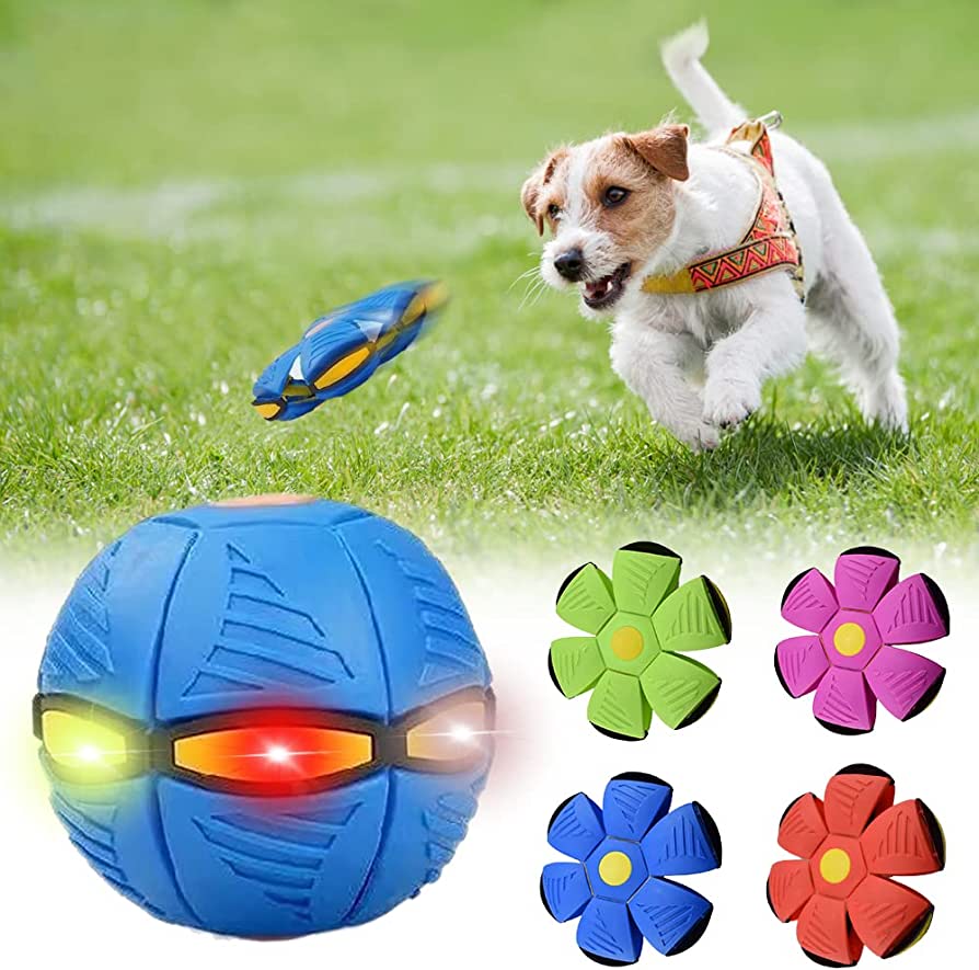 Pro-Flat Ball Frisbee