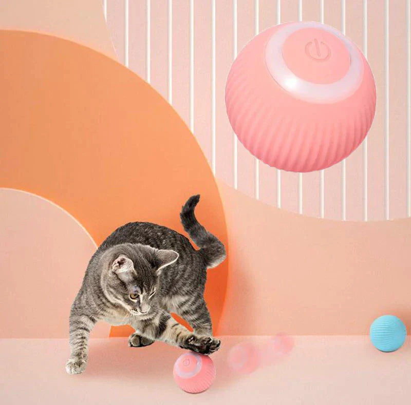 Automatic Cat Ball