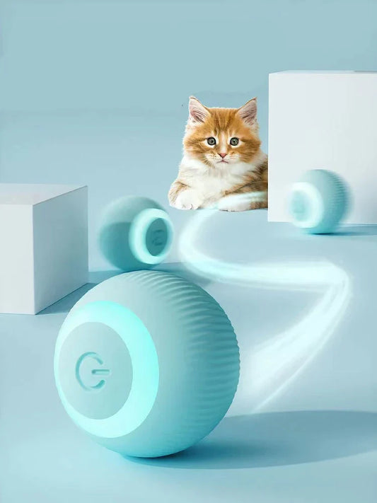 Automatic Cat Ball