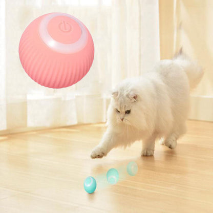 Automatic Cat Ball