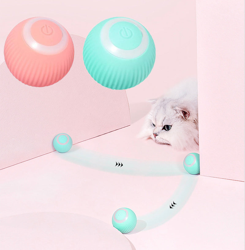 Automatic Cat Ball